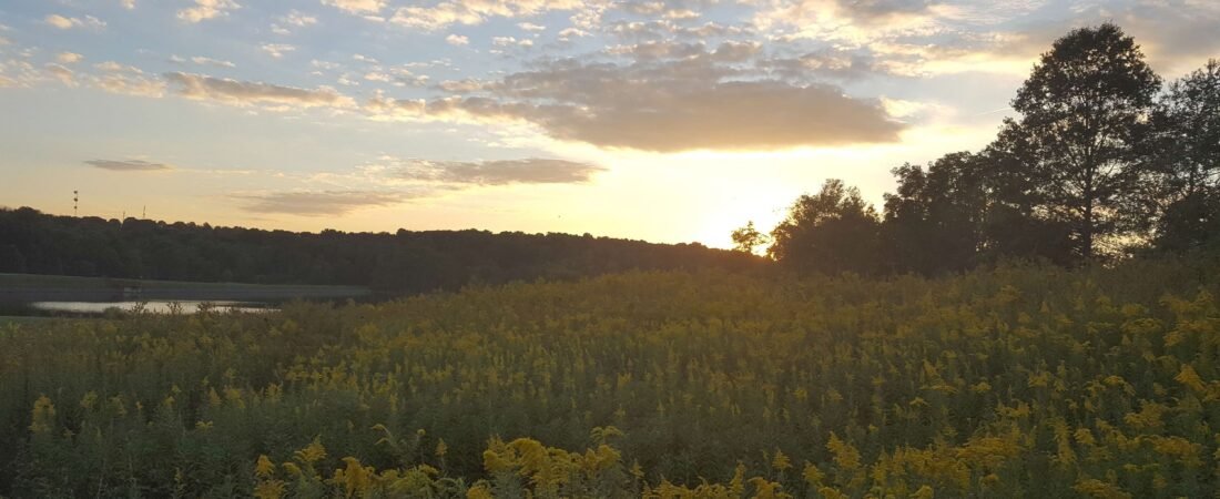 Grief with mixed feelings